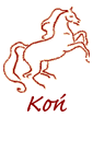 Charakter urodzonych pod chińskim znakiem Konia